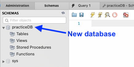 New practice database in the file tree.