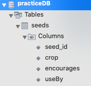 File tree showing the seeds table.