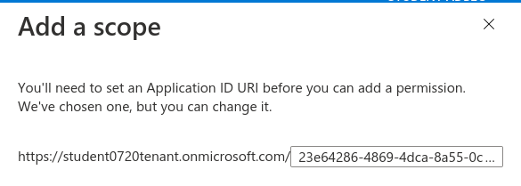 AADB2C set application ID URI for new scope