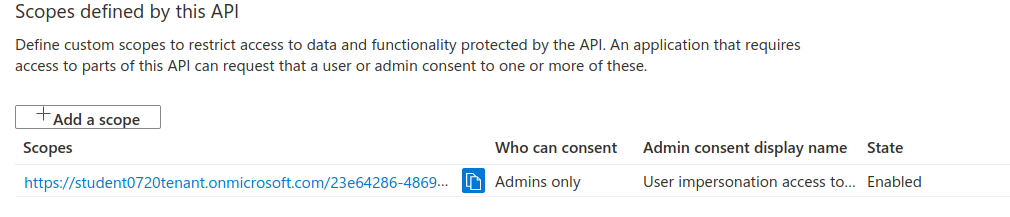 AADB2C copy scope URI