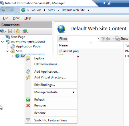 IIS Manager remove default site