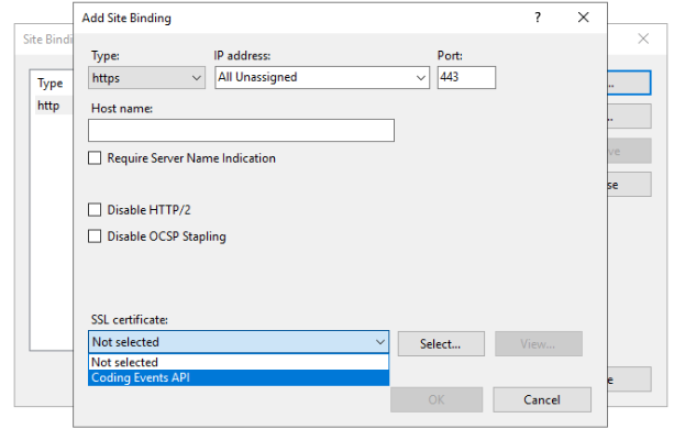 IIS Manager Site binding to https