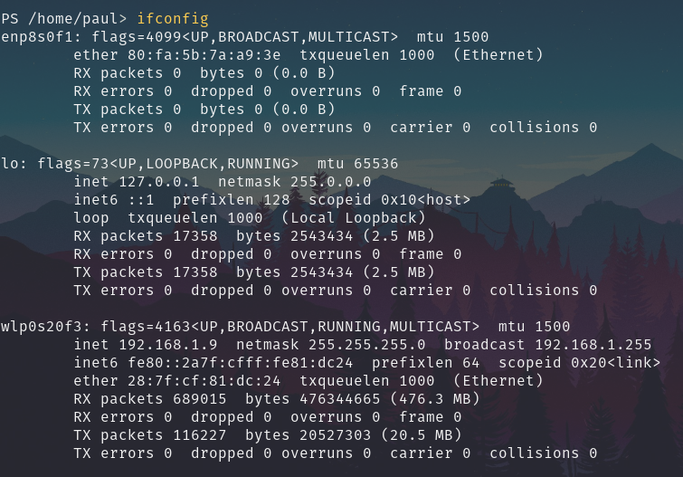 ../../_images/powershell-ifconfig.png