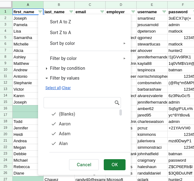 View of spreadsheet with the filter option opened 