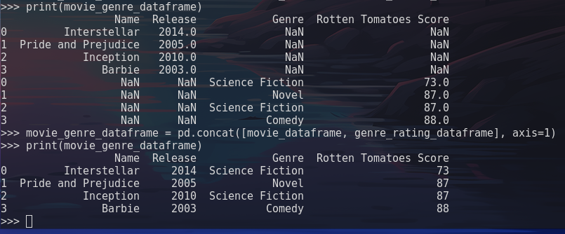 concat-dataframe-output