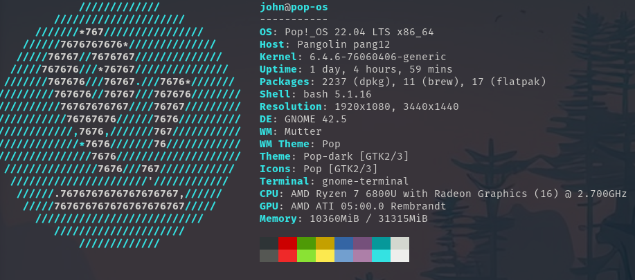 Neofetch program run as example