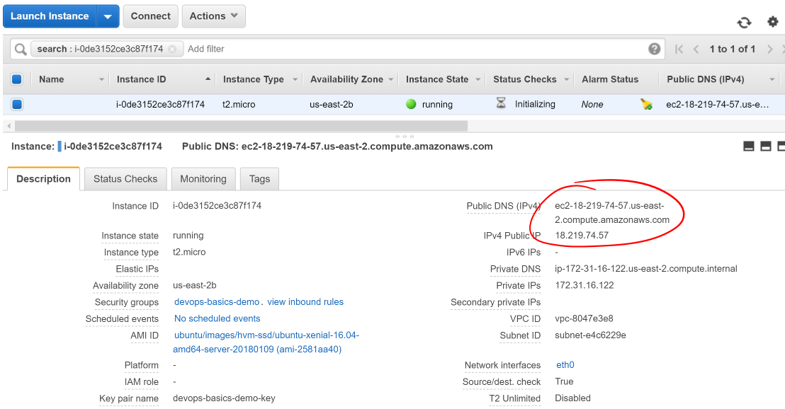 Screen shot showing Instances dashboard and a running instance. A red circle is around the Public DNS entr