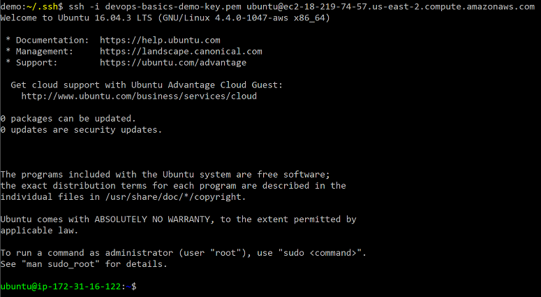 Screen shot of terminal showing successful SSH connection to AWS instance