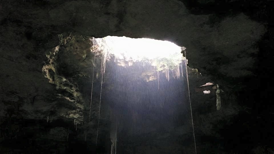 Roof of underground Cenote