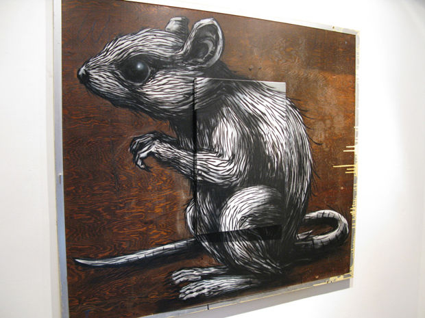 Roa