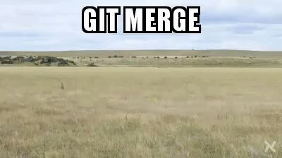 An animated GIF file showing two opposing armies colliding in a mess.
