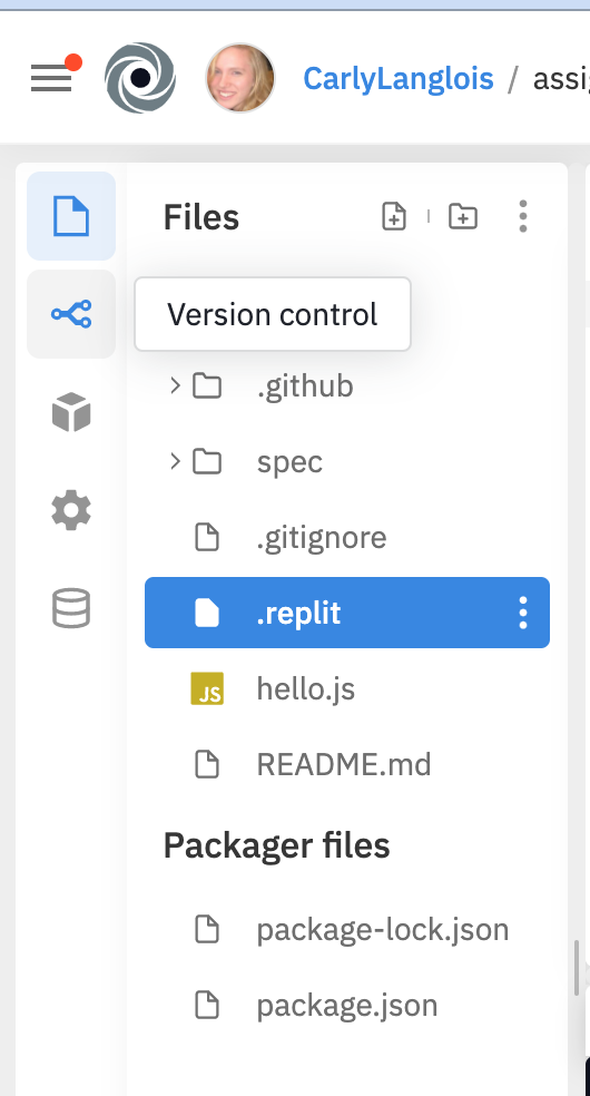 The left sidebar in a Replit window, with cursor hovered over the version control tab.