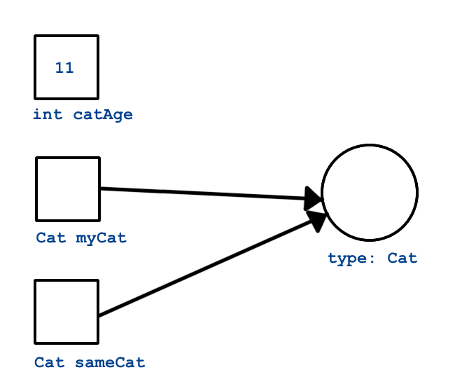 Reference Types.  First variable is int catAge = 11.  Second variable is Cat myCat = new Cat().  Third variable is Cat sameCat = myCat; Both myCat and sameCat point back to the Cat class type.