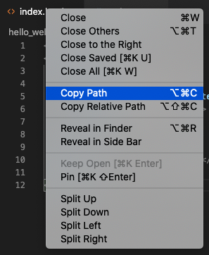 Menu options that appear after right-clicking a file tab in VS Code. &ldquo;Copy Path&rdquo; is highlighted