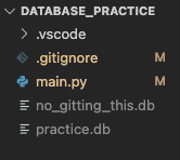 Showing the file tree with database names greyed out.