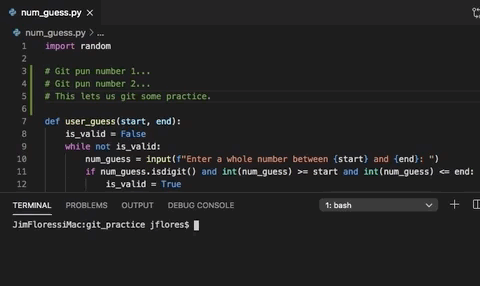 The git reset command removes uncommitted changes from the files.