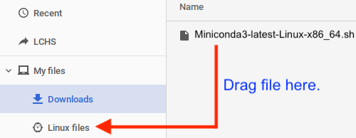 Drag and drop the Miniconda file into the 'Linux files' folder.