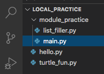 File tree of the local_practice directory showing the contents of the module_practice subdirectory.