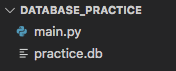 File tree showing main.py and practice.db.