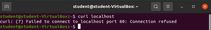 curl localhost output